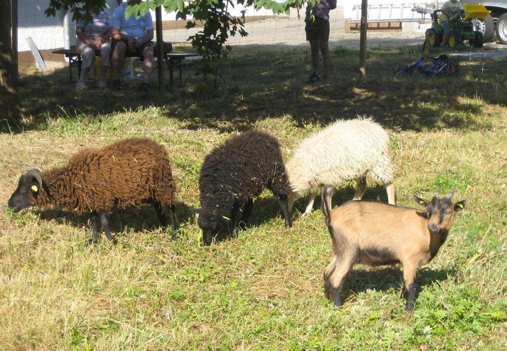 Gasthof Zur Krone Denkendorf  Kültér fotó